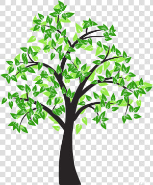 Tree Drawing Cottonwood Leaf   Tree Drawing Transparent Background  HD Png Download