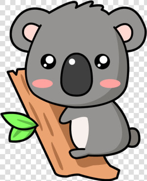 Drawn Koala Cute Baby Zoo Animal   Dibujo Kawaii De Koala  HD Png Download