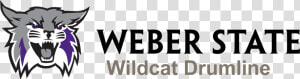 Drumline Png   Png Download   Weber State Wildcats  Transparent Png