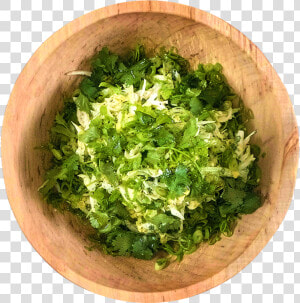 Transparent Cilantro Clipart   Coriander  HD Png Download