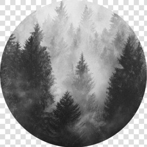  circle  grey  aesthetic  freetoedit   Black And Grey Aesthetic Forest  HD Png Download