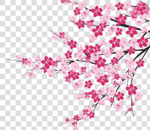 64 Cherry Blossom Tree Branch Cliparts For Your Inspiration   Cherry Blossom Tree Clipart  HD Png Download