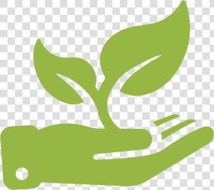 Grow Transparent Background   Icon Plant Growing Png  Png Download