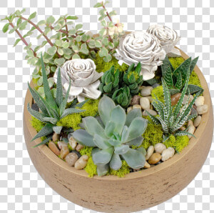 Flowerpot  HD Png Download