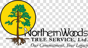 Northern Woods Tree Service Logo   Tree  HD Png Download