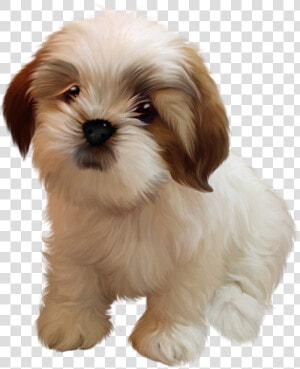 Cute Shih Tzu Clipart   Png Download   Transparent Shih Tzu Clipart  Png Download