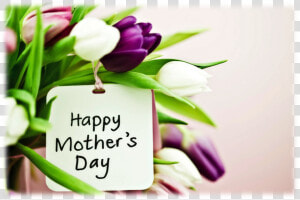 Mothers Day Banner Png   Cute Happy Mothers Day  Transparent Png