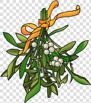 Mistletoe   Clip Art  HD Png Download