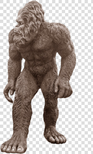 Sasquatch Png  Transparent Png