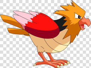 Pokemon Spearow  HD Png Download