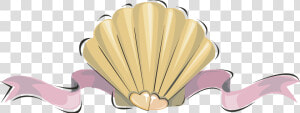 Clam Oyster Seashell Clip   Pearl Shell Art Transparent  HD Png Download