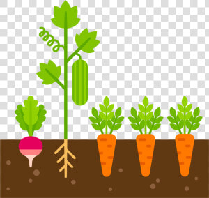 Caring Clipart Care Plant   Clip Art Vegetable Plant  HD Png Download