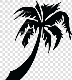 Arabistock Picture Of Palmtree   Palm Tree Silhouette  HD Png Download