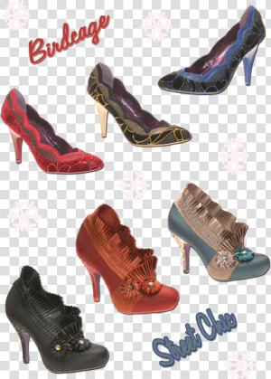 Poetic Licence Shoes Blog Birdcage   Basic Pump  HD Png Download