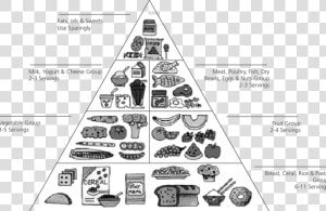 Food Pyramid Classification Of Food  HD Png Download