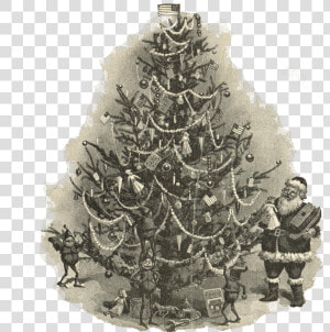 Royalty Free Antique Christmas Tree Illustration Via   Christmas Tree Illustration Vintage  HD Png Download