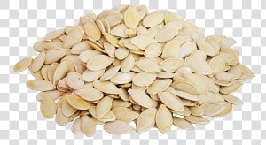 Transparent Pumpkin   Pumpkin Seeds Seeds Png  Png Download