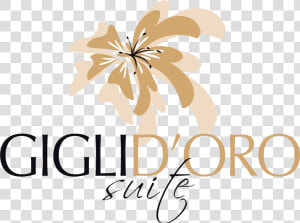 Logo Gigli D Oro Suite   Calligraphy  HD Png Download