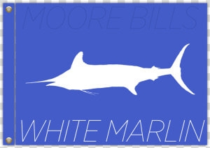 Atlantic Blue Marlin  HD Png Download