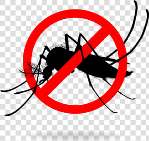 Stop Mosquito Breeding   Stop Mosquito  HD Png Download