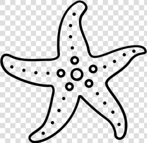 Class Lazyload Lazyload Mirage Cloudzoom Featured Image   Starfish  HD Png Download