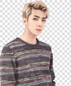 Exo Sehun Png   Png Download   Exo Sehun Season Greetings  Transparent Png