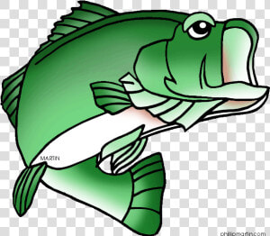 Largemouth Bass Fish Clip Art   Sea Bass Clip Art  HD Png Download