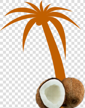 Mq Orange Palmtree Palm Coconut   Palm Tree Clip Art Vector  HD Png Download