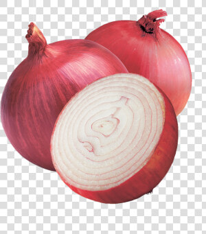 Onion Png Hd Wallpaper   Transparent Onion Png  Png Download