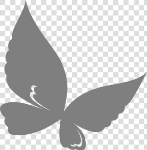 Teal Butterfly Clipart  HD Png Download