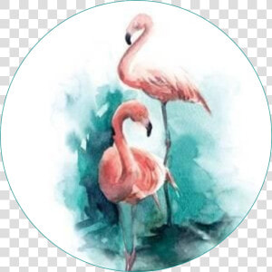 Flamingo Birds Circle Round Pattern Template   Watercolor Simple Bird Painting  HD Png Download