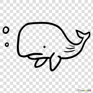 How To Draw Baby Whale Tattoo Minimalist Png Minimalist   Draw A Baby Whale  Transparent Png