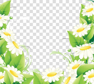 Фотки Flower Backgrounds  Pretty Flowers  Daisy  Flower   Bordure De Fleur Png  Transparent Png