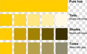 Tint Tone Shade Chart  HD Png Download