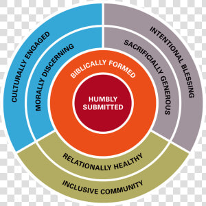 Anatomy Of A Disciple   Center For Community Change  HD Png Download