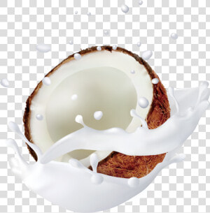 Coconut Milk Png   Coconut Milk No Background  Transparent Png