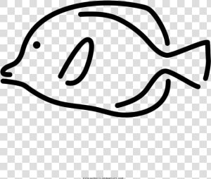 Coloring Pages Coloring Pages Cartoon Fish Picture   Line Art  HD Png Download