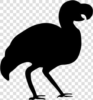 Silhouette   Dodo   Dodo Silhouette Png  Transparent Png