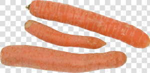 Carrot Png Image   Carrot  Transparent Png