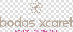 Bodas Xcaret   Graphics  HD Png Download