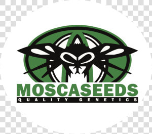 Mosca Seeds   Mosca Seeds Logo  HD Png Download