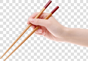 Hand Chopstick Png  Transparent Png