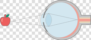 Fig1 In Focus Final   Circle  HD Png Download