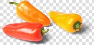 Bulk Pure Flavor Aurora Bites  Red  Yellow And Orange   Sweet Bite Peppers  HD Png Download