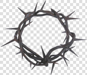 Thorns Png Photos   Crown Of Thorns Png  Transparent Png