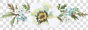 Flores Blancas Ornamento Decoracion De Moda Png   Portable Network Graphics  Transparent Png