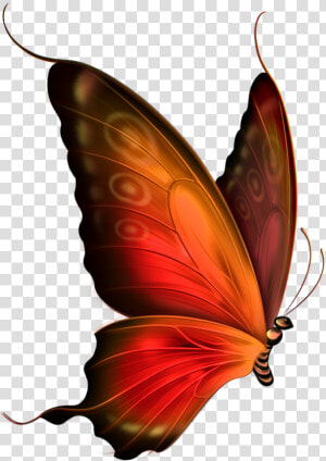 Red Butterfly Png   Transparent Background Butterfly Gif  Png Download