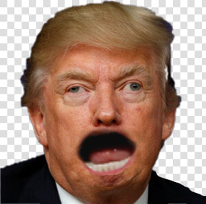 Derp Trump Png   Png Download   Donald Trump Angry Faces  Transparent Png