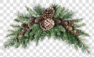 Pinecone Png Picture   Christmas Swag  Transparent Png