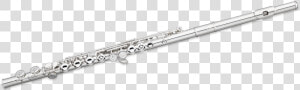 Piccolo Instrument For Free Download On Mbtskoudsalg   Flute Selver  HD Png Download